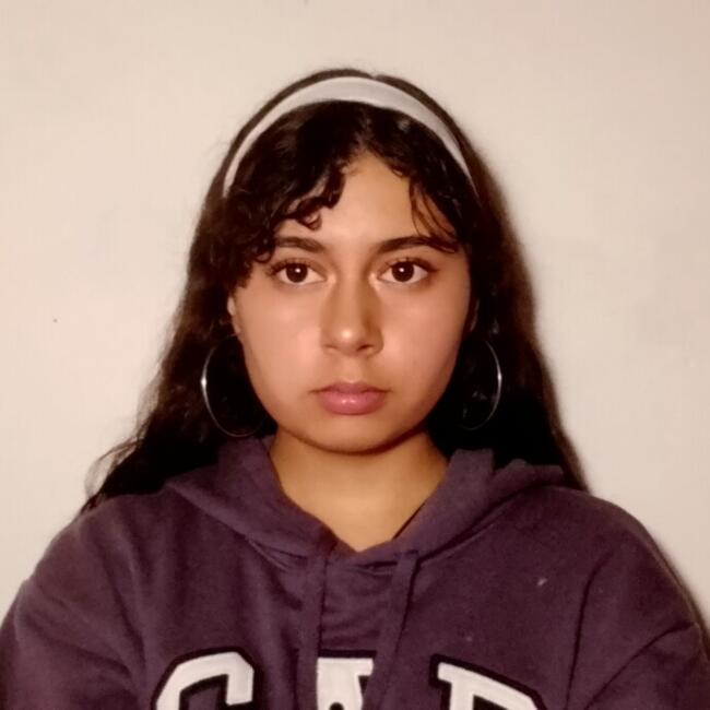 Babysitter in Quilpué: Rosalía