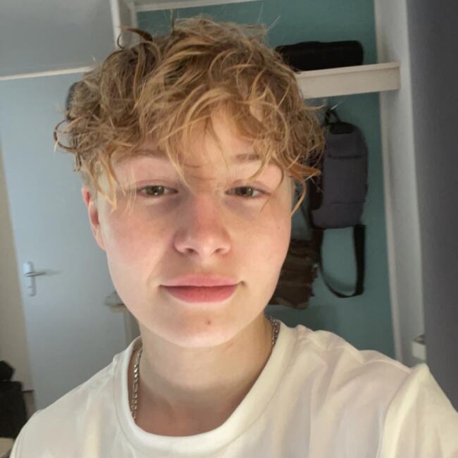 Babysitter in Tourcoing: Maevan