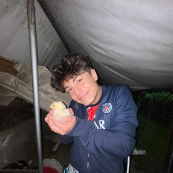 Babysitter Curtarolo: Edoardo