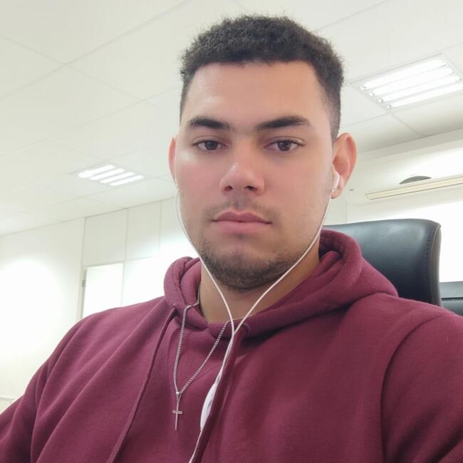 Babysitting job in Palhoça: Joelmir