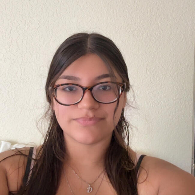 Babysitter in San Antonio: Desiree