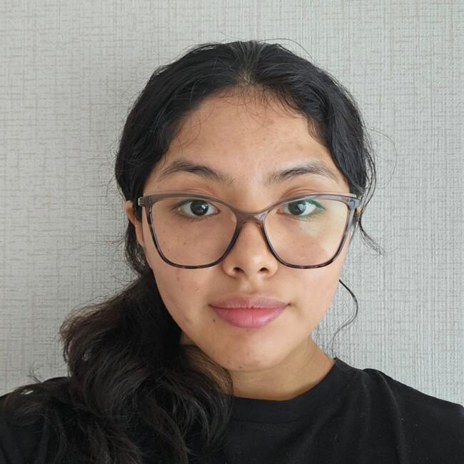 Niñera en Santiago: Arellys