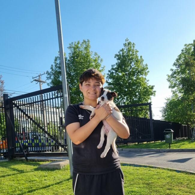 Niñera en La Florida: Andy