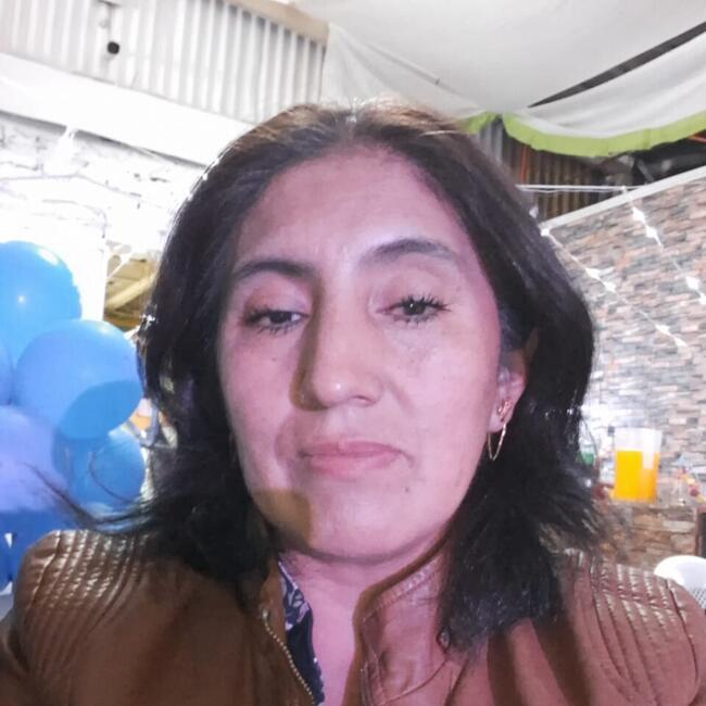 Babysitter in Estación Colina: Lenidt Veronica