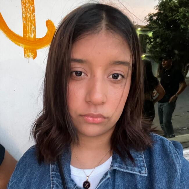 Babysitter in Culiacán: Janeth