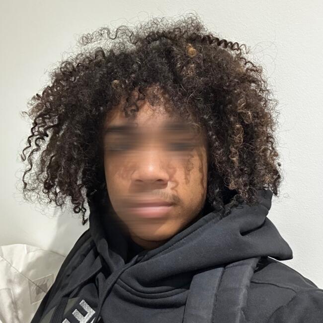 Babysitter in Chaumes-en-Brie: Ryan