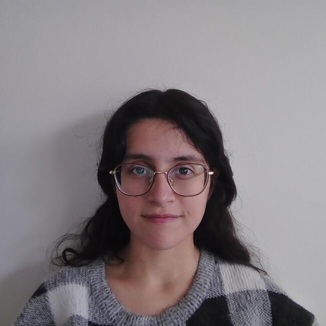 Babysitter in Temuco: Josefa