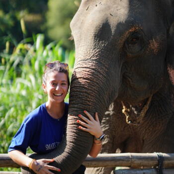 Babysitter in Bordeaux: Chloé