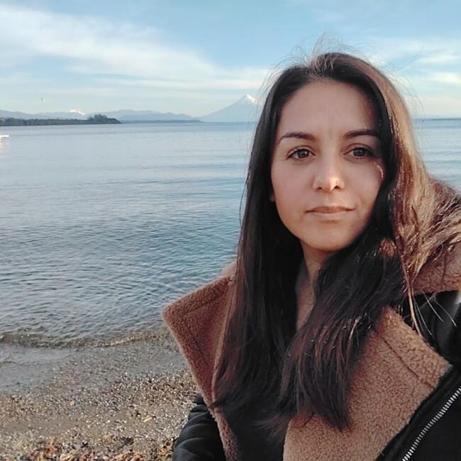Babysitter in Port Montt: Natali
