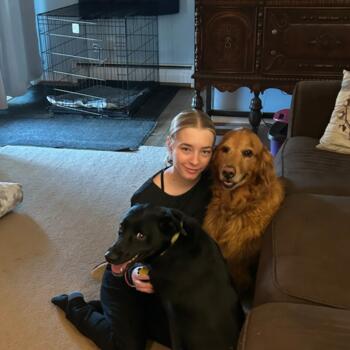 Babysitter in Buffalo: Kristi