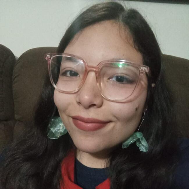 Niñera en Santiago de Chile: Daniela