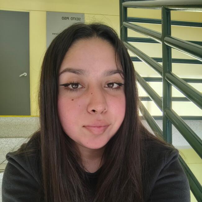 Niñera en Viña del Mar: Franchesca