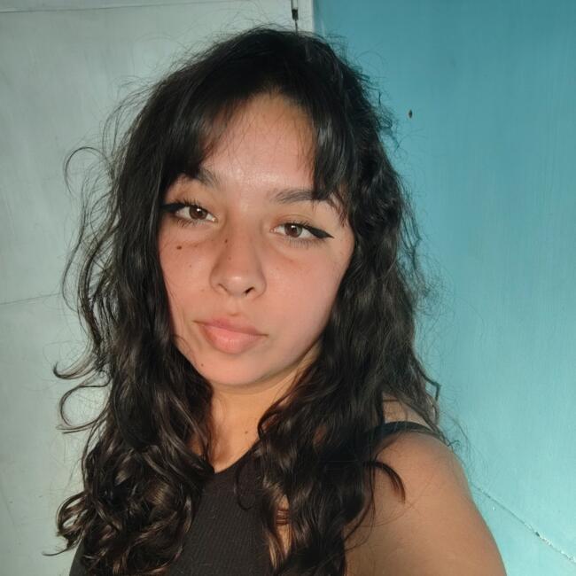 Babysitter in Viña del Mar: Franchesca
