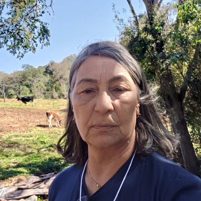 Babysitting job in Cascavel: Salete Magali
