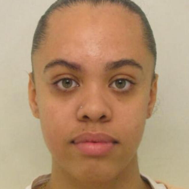 Babysitter in Garges-lès-Gonesse: Elydjah