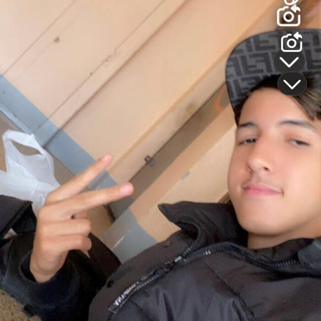 Babysitter in Saint-Priest: Anis