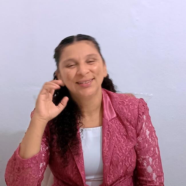 Babysitter in Juiz de Fora: Sueli