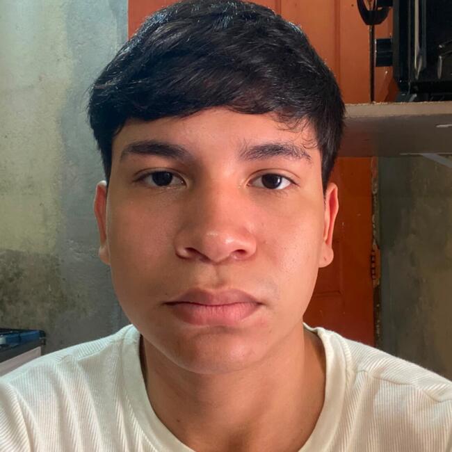 Emprego de babá em Manaus: Geovanna