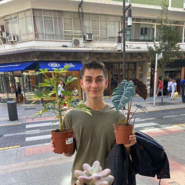 Babysitter in Bilbao: Wladi