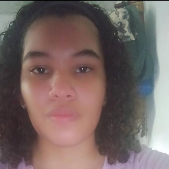 Babysitter in Panama City: Diana carolina Guevara diaz