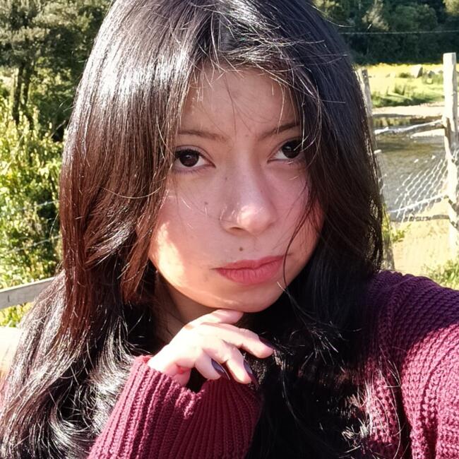 Babysitter in Osorno: Aixa