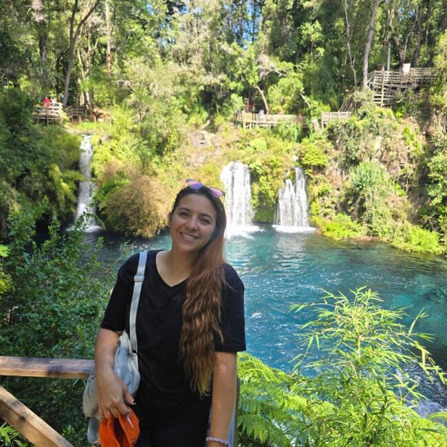 Babysitting job in Neuquén: Gisel