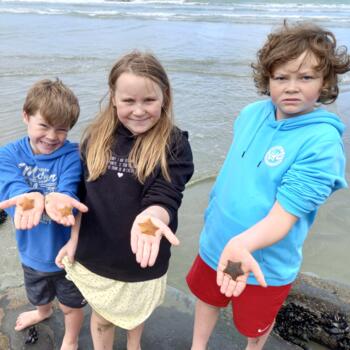 Babysitting job in Christchurch: babysitting job Rebecca