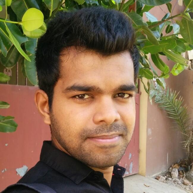 कोयंबतूर में बेबीसिटिंग की नौकरी: Shankar