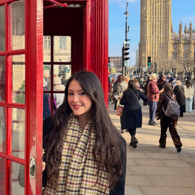 Babysitter in Concón: Belen