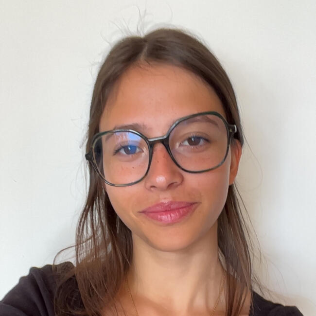 Babysitter in Villiers-en-Plaine: Nell