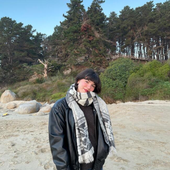 Babysitter in Los Cerrillos: Sofia