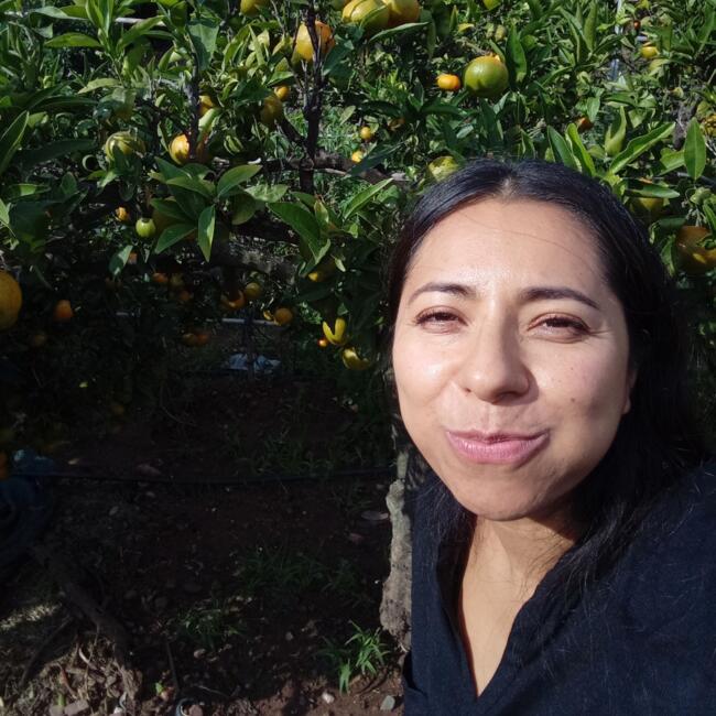 Niñera en Benicásim: Constanza