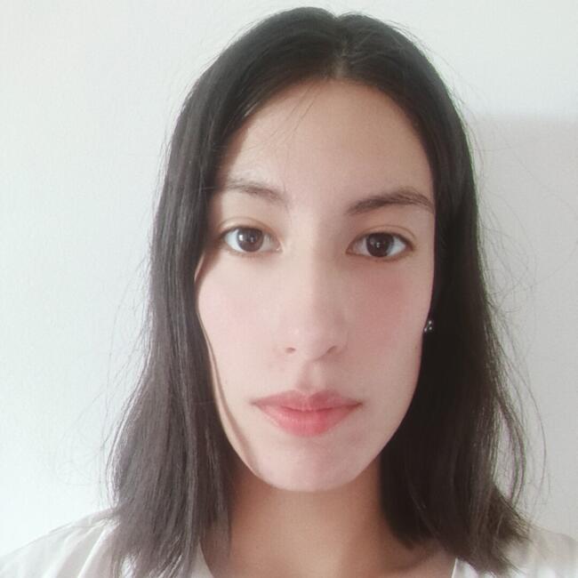 Babysitter in Santiago: Krishna