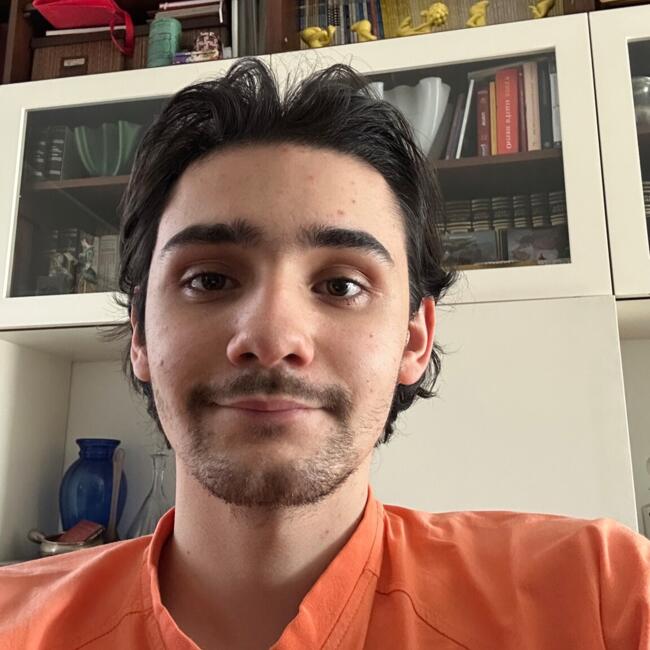 Babysitter a Segrate: Lorenzo