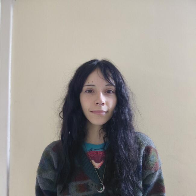 Babysitter in Mar del Plata: Melina