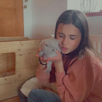 Baby-sitter in Échandens: Noemie
