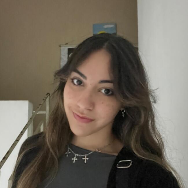 Babysitter in São Paulo (São Paulo): Danielli