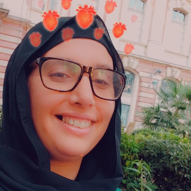 Babysitter in Toulouse: Lwiza