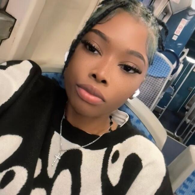 Babysitter in Villiers-le-Bel: Neigedane