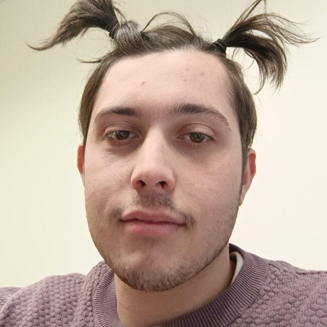 Babysitter in Tilloy-lez-Cambrai: Guillaume