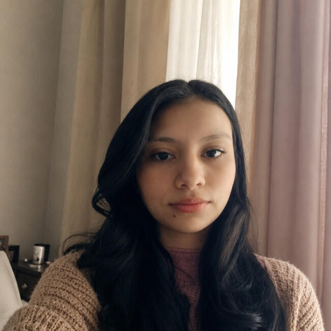 Babá em Chapecó: Tainara