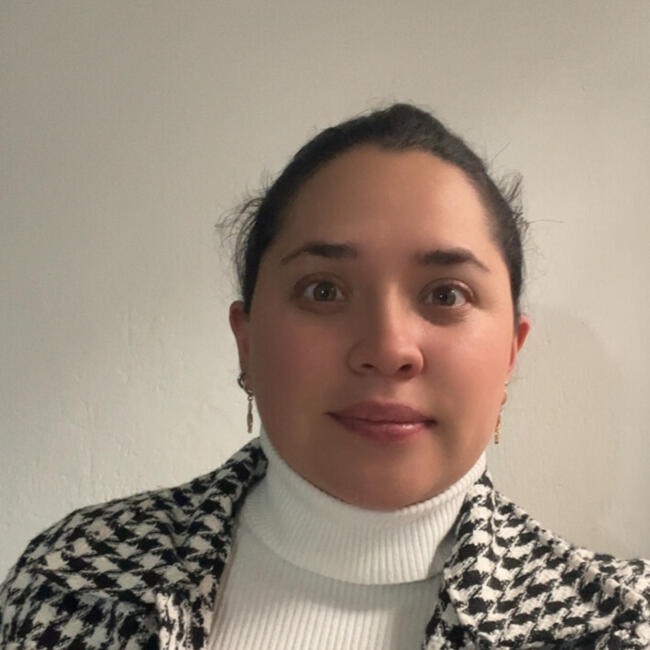 Niñera en Bogotá: Diana