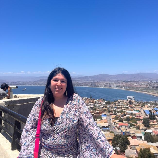 Babysitter in Chiguayante: Teresa