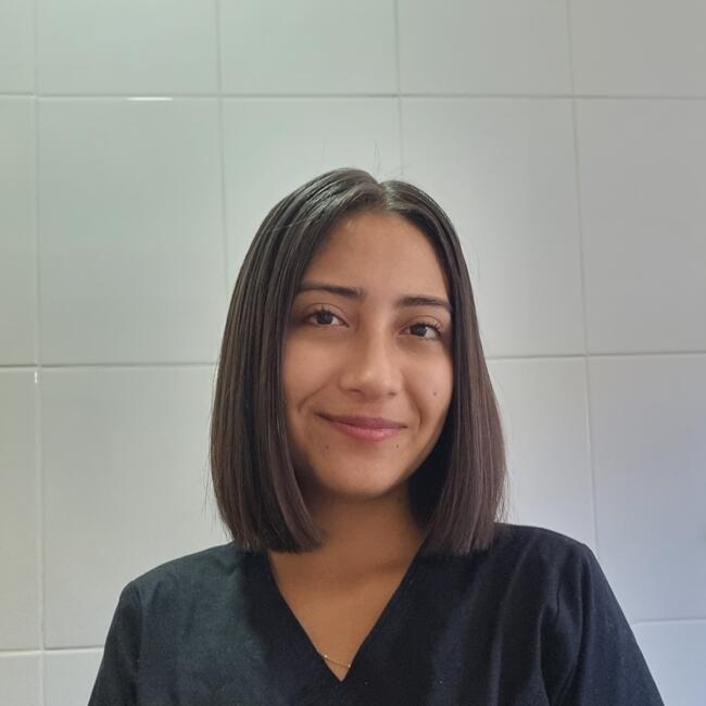 Babysitter in Temuco: Rachel