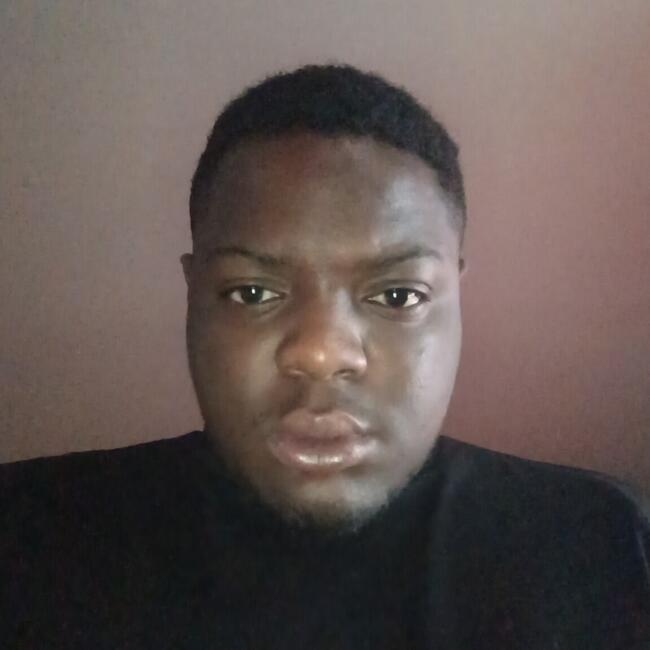 Babysitting job in Spring Valley (New York): Apollo