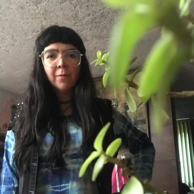 Babysitter in Pachuca: Paulina Clara