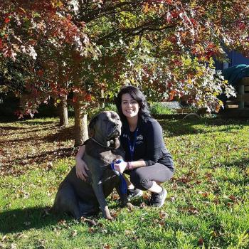 Genitore Masterton: lavoro per babysitter Juliet