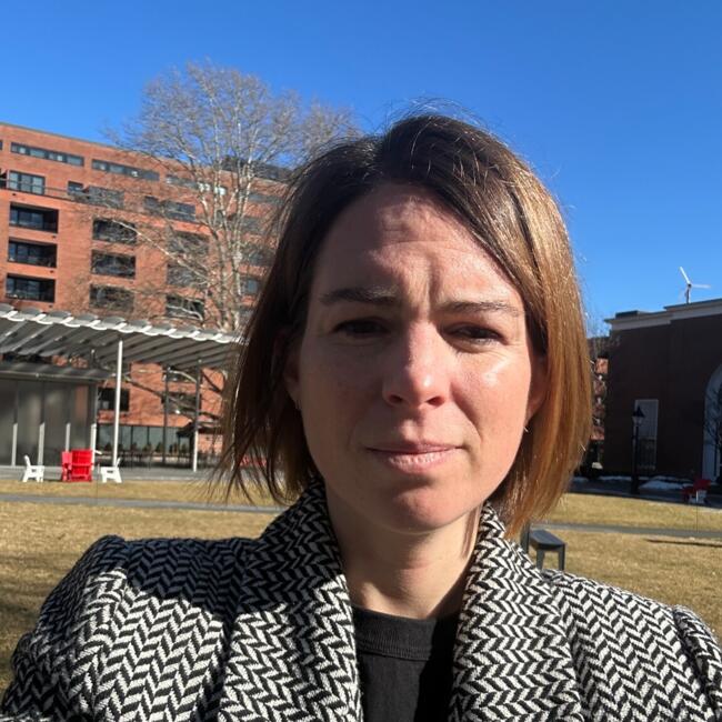 Babysitting job in Cancale: Constance