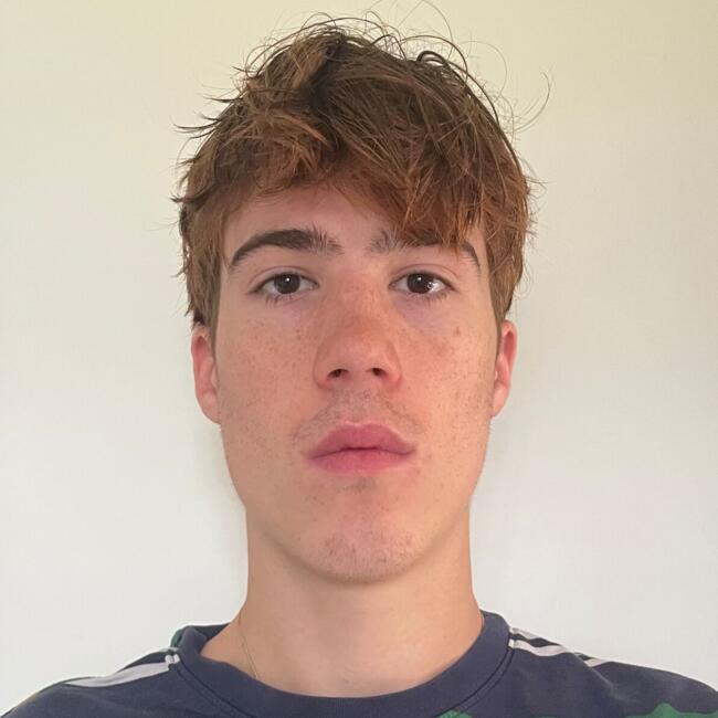 Babysitter in Clonsilla: Leopold