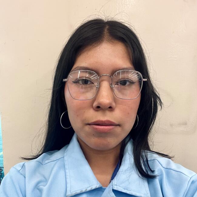 Babysitter in Querétaro City: Rosa Maria